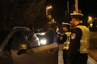 南京首例危险驾驶罪共同犯罪宣判劝人酒驾算危险驾驶
