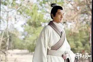 琅琊榜三重伪装者的最终胜利