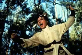 胡金铨词条图片