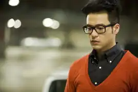 痞子英雄
