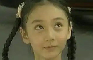 家有儿女剧照杀姐姐