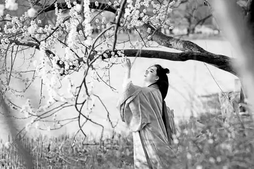 享京城花景拍古装美照