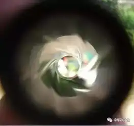 盘点战狼2中的冷兵器,看吴京如何演绎铁血传奇
