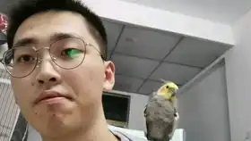 会对着手机上的照片做动作的柴柴这是什么神仙小可爱啊