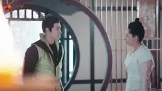 全部视频库
