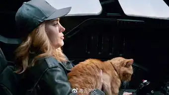 橘猫到底是谁的惊奇队长的名号是咋来的你也许并不知道
