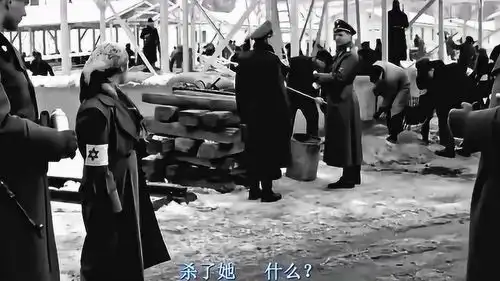辛德勒的名单,纳粹的份内工作,就是杀人
