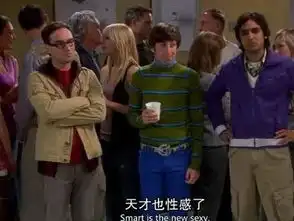 生活大爆炸美剧第一季
