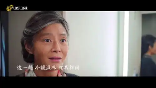 山东卫视南来北往今日收官,致敬这个伟大的时代白敬亭金晨王凯
