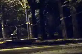 姜文新片一步之遥基地着火现场戒备森严5692946