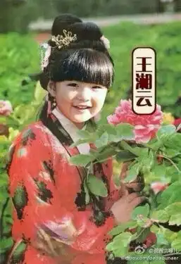 爸爸去哪儿版还珠格格不输红楼梦五萌娃ps照爆笑再度升级