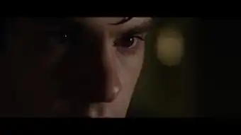 苍蝇2
