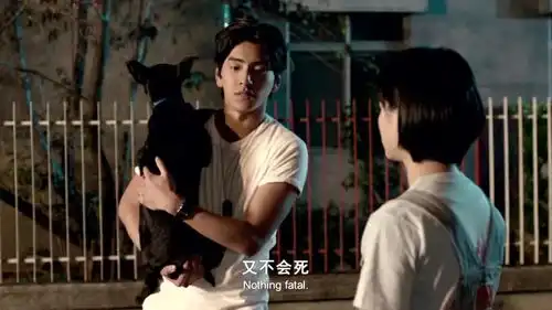 我的少女时代真心说任何人被发现和徐太宇走近的人,都会被禁足