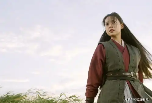 雪中悍刀行临近结局,10个角色塑造排名,张若昀未进前3
