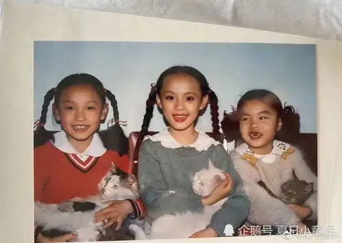 孙俪发长文为等等庆生