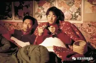 从秋菊的困惑看法律与民约的冲突
