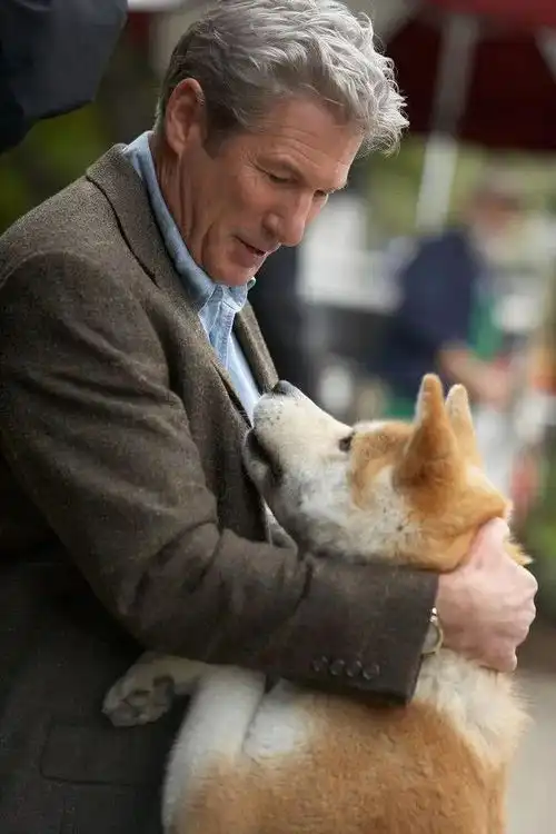 程咏海员见闻录天涯双11优惠征订倒数第二天