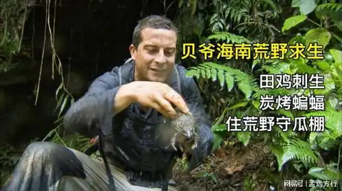 贝爷海南深山老林荒野求生,田鸡刺生炭烤蝙蝠住荒野守瓜棚
