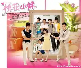 怀念王沥川高以翔意外去世