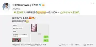 杨紫请求王俊凯帮忙宣传新剧,二人聊天记录曝光,杨紫很套路
