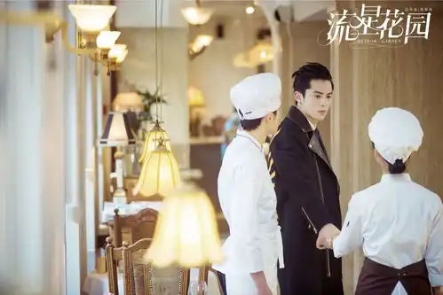 流星花园王鹤棣雪夜救杉菜官鸿单曲唱花泽类心声