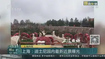 上海迪士尼园内最新近景曝光万众期待的爱丽丝梦游仙境迷宫露出真容
