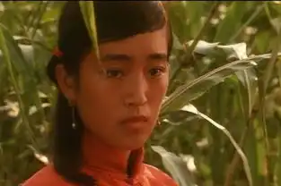 巩俐出演电影红高粱剧照
