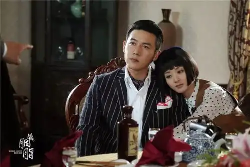 赵丽颖陆毅胭脂联手执行秘密任务
