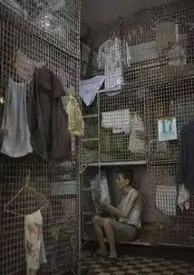 郑家捐地郭家表态,香港四大家族开始行动了