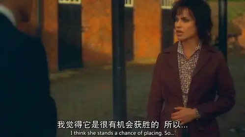 浴血黑帮第二季
