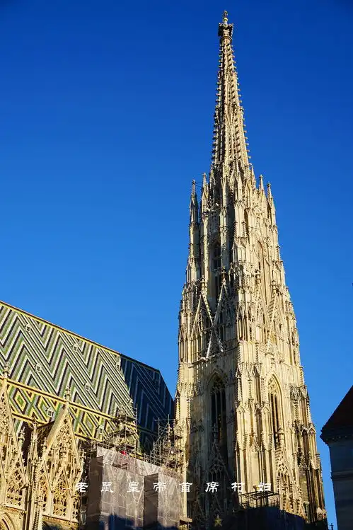 世界音乐之都维也纳800岁的南京路去买茜茜公主的同款香水