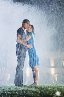 瓦妮莎哈金斯图册