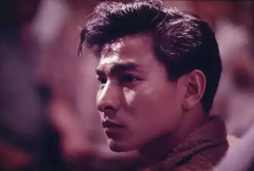 王家卫经典阿飞正传预售开启,大银幕再会哥哥张国荣
