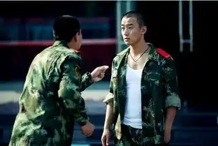 兵王王明军导演国产电视剧搜狗百科