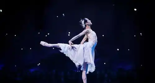 风暴后,未来电视舞蹈将怎样掀起叹为观止的新浪潮
