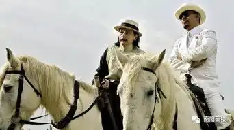 地王来之前2019南阳刚需生存指南