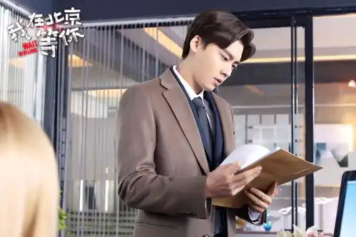 我在北京等你播出过半海归题材备受关注