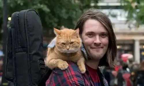 有了猫,再也不用买会员跳广告了