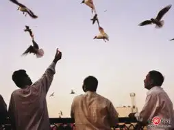 蜗居迪拜外国劳工的辛酸生活