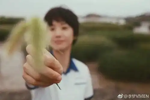 隐秘的角落后,李梦终于红了首曝新片造型
