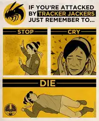 饥饿游戏其他海报