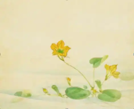 读万卷书,行万里路首届海淀区研学旅游季路线体验活动即将开始啦
