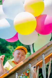 神似度95飞屋环游记的小罗和卡尔竟出现在童话树屋