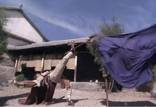 谁说女子不如男,此人可吊打天龙八部三兄弟,但终究难敌主角光环
