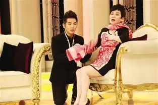 甄嬛传火遍台湾赴美粉丝愁翻译