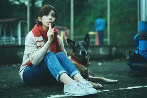 10位主演破亿电影的演员许光汉今年2部都破亿,王净也2部,他5部全都冲破亿好狂
