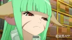 怒号光明m84盾卫个人配音