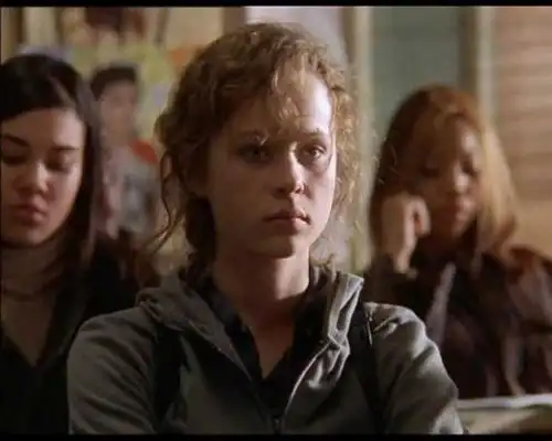 风雨哈佛路的电影剧情