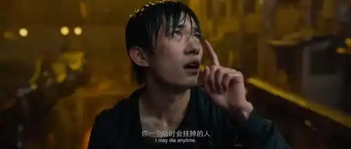 巩俐张小斐争影后张译华仔争影帝,华鼎奖要告别猪肉奖了