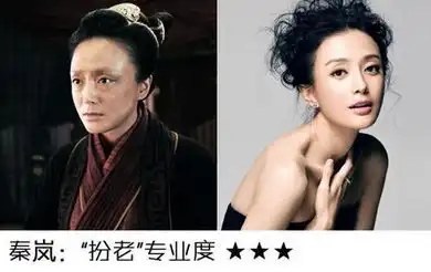 孙俪补拍甄嬛传美人垂垂老矣扮老牺牲美貌引争议